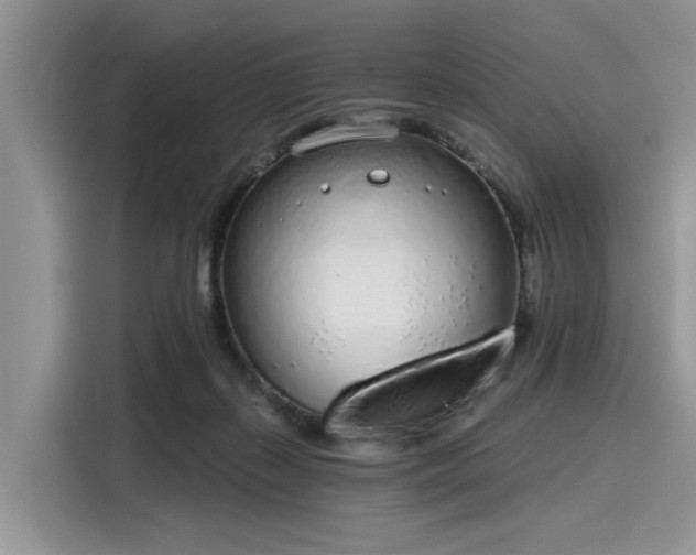 X0000116110267200911301129