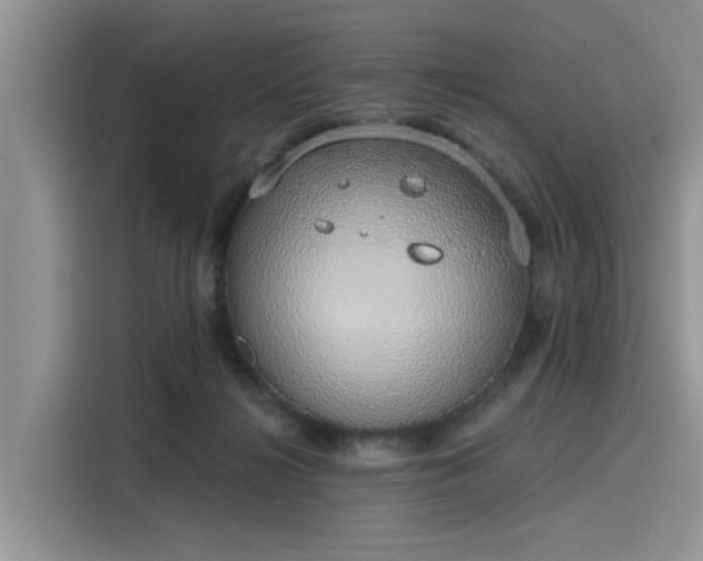 X0000116110268200911301129