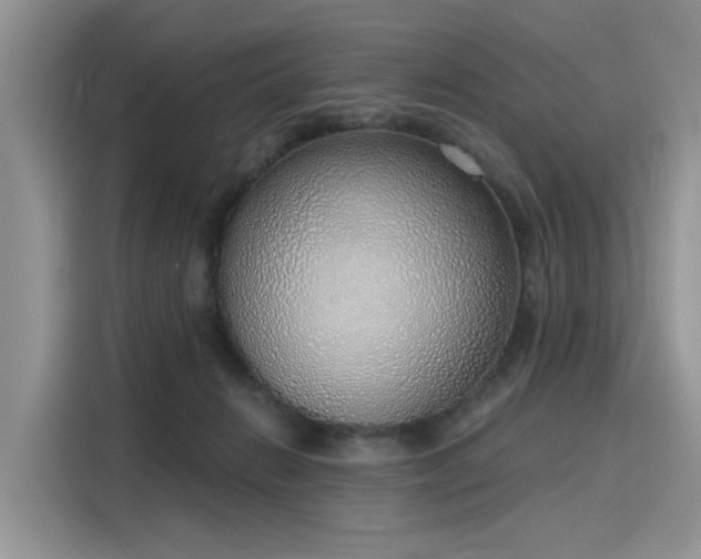 X0000116110270200911301129