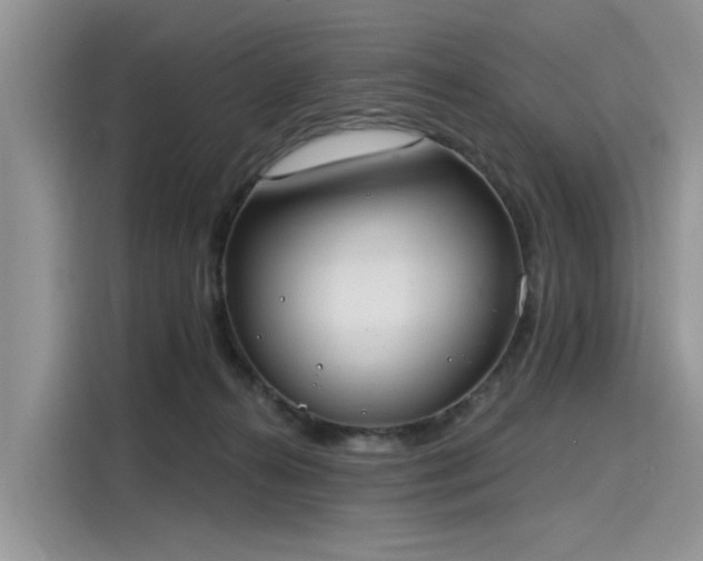 X0000116110272200911301129