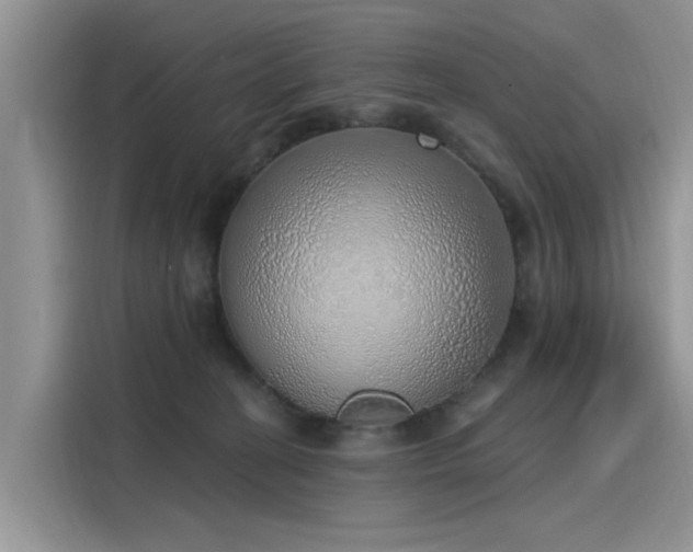 X0000116110274200911301129