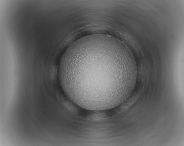 X0000116110278200911301129