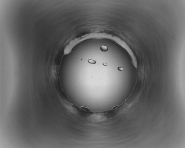 X0000116110280200911301129