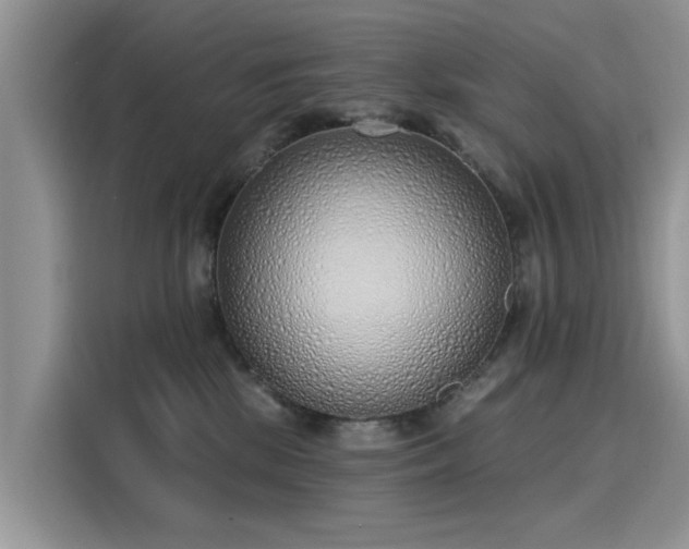 X0000116110281200911301129