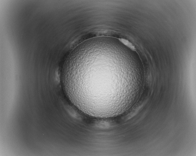 X0000116110282200911301129