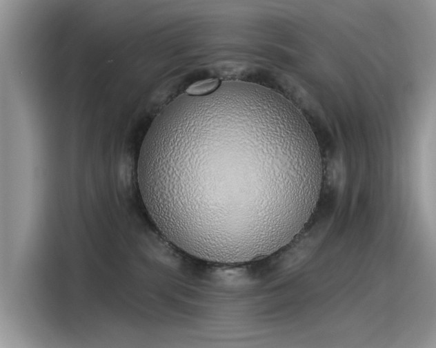 X0000116110283200911301129