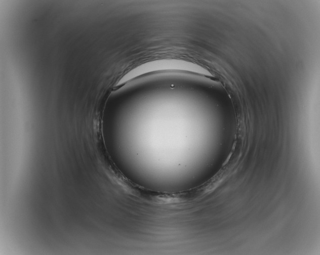 X0000116110284200911301129