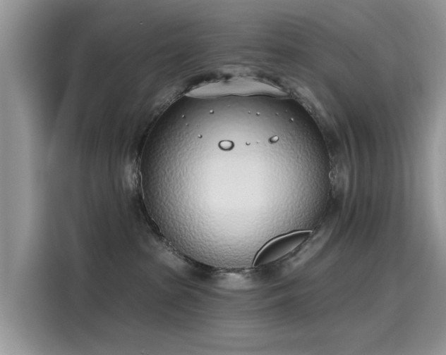 X0000116110285200911301129