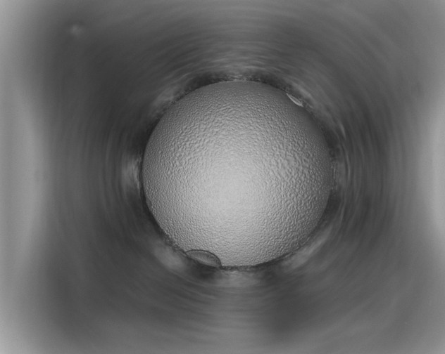 X0000116110286200911301129