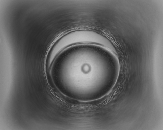 X0000116110292200911301128