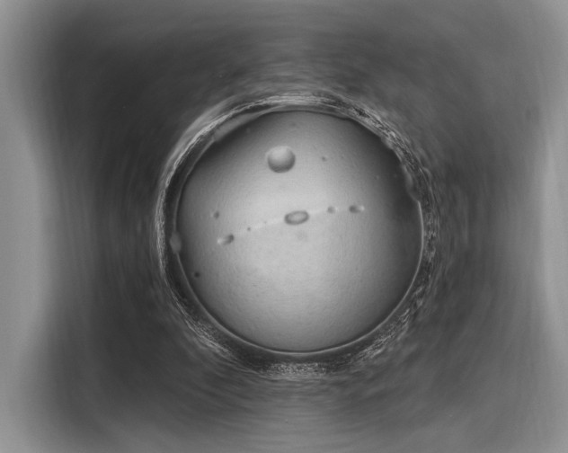 X0000116110296200911301128