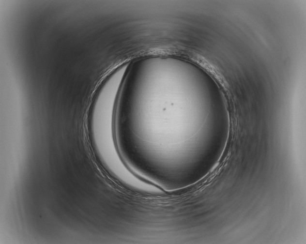 X0000116110297200911301128