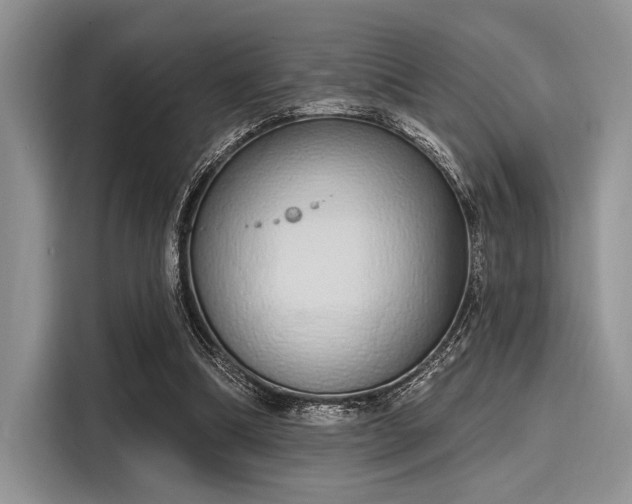 X0000116110298200911301128