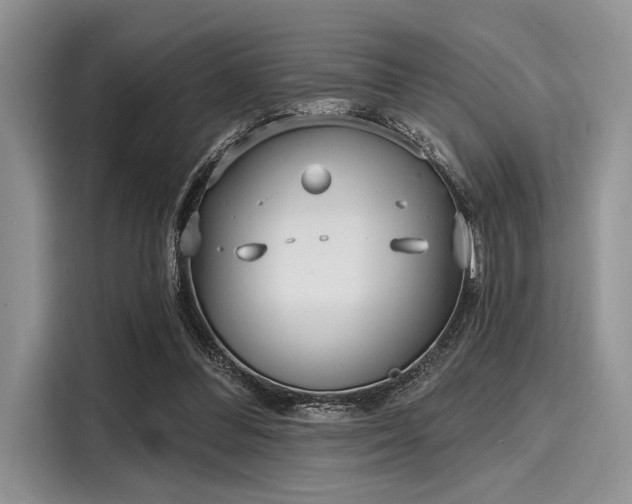 X0000116110300200911301128