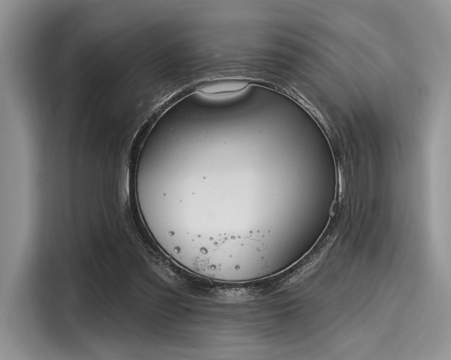 X0000116110301200911301128