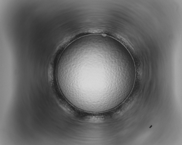 X0000116110303200911301128