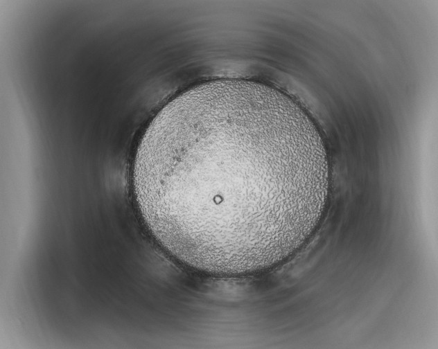 X0000116110305200911301128