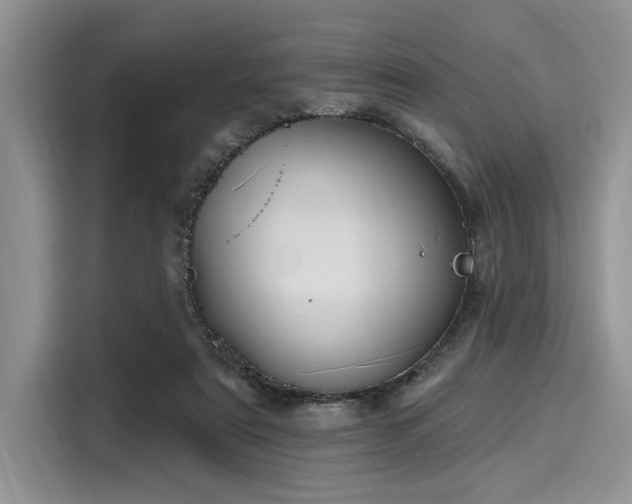 X0000116110307200911301128