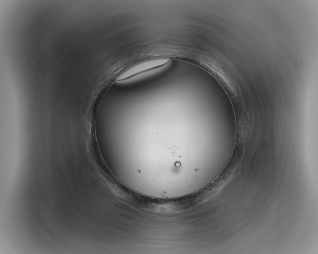 X0000116110309200911301128