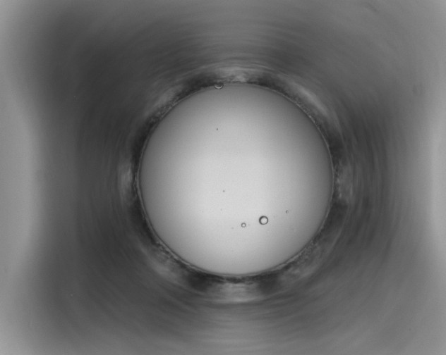 X0000116110314200911301128