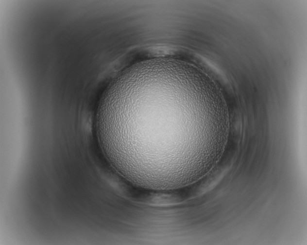 X0000116110315200911301128