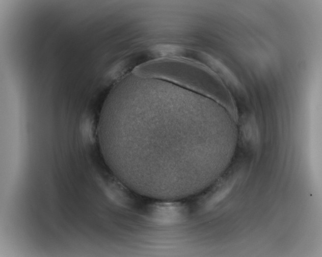 X0000116110316200911301128