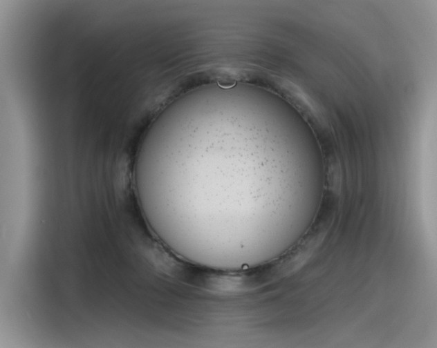 X0000116110318200911301128