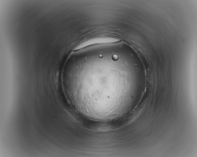 X0000116110319200911301128