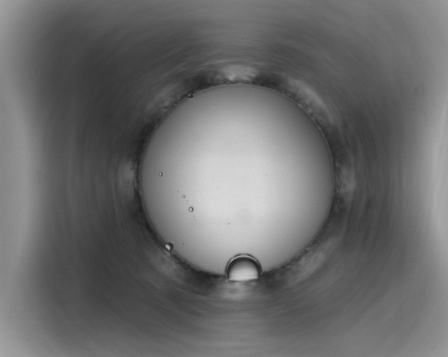 X0000116110321200911301128