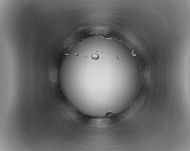 X0000116110323200911301128