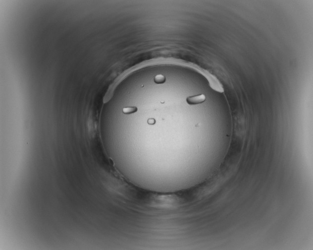 X0000116110324200911301128