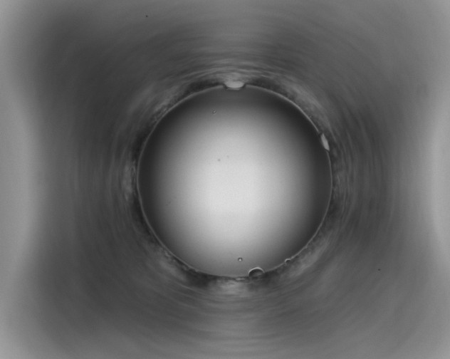 X0000116110325200911301128