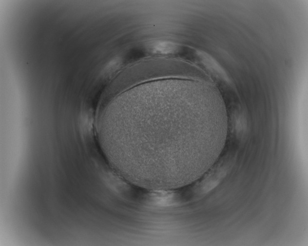 X0000116110328200911301128