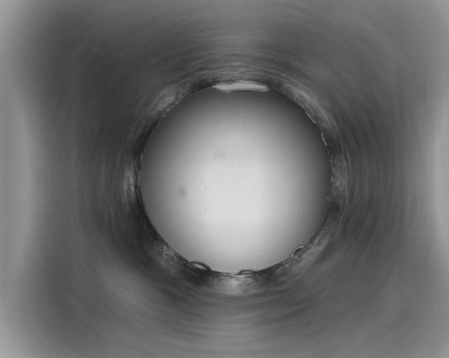 X0000116110333200911301128