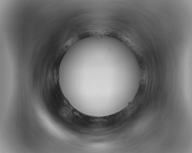 X0000116110334200911301128