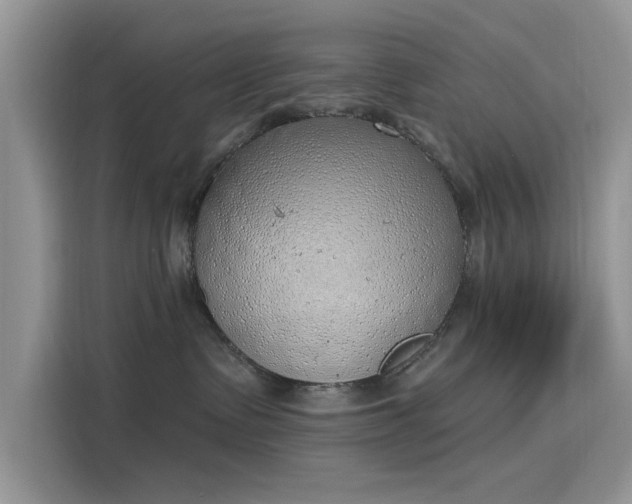 X0000116110335200911301128