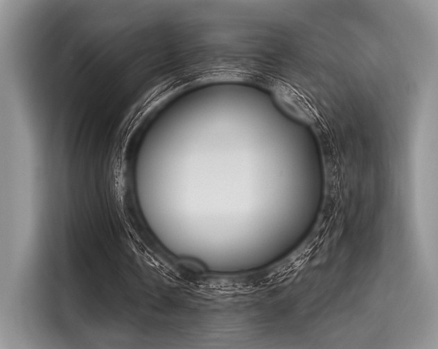 X0000116110338200911301127