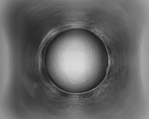 X0000116110339200911301127