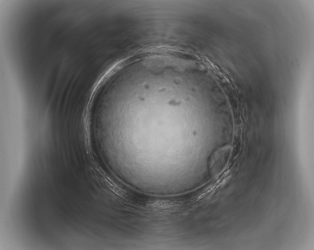 X0000116110341200911301127