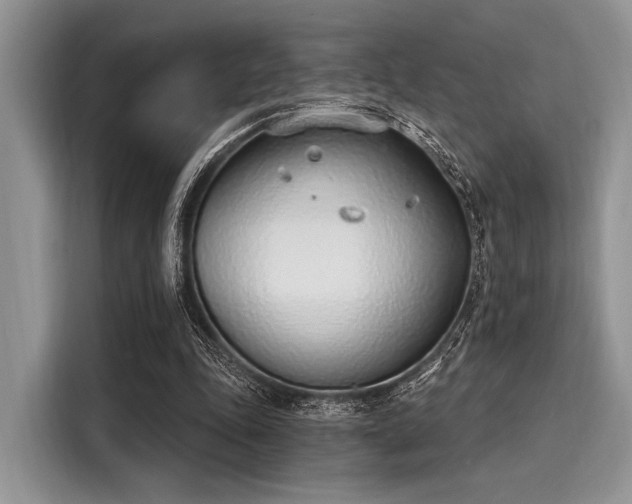 X0000116110343200911301127