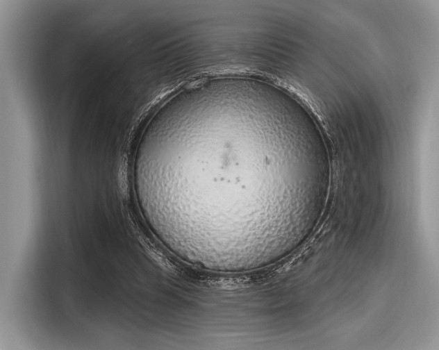 X0000116110345200911301127