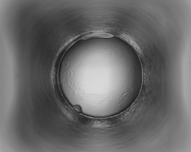 X0000116110346200911301127