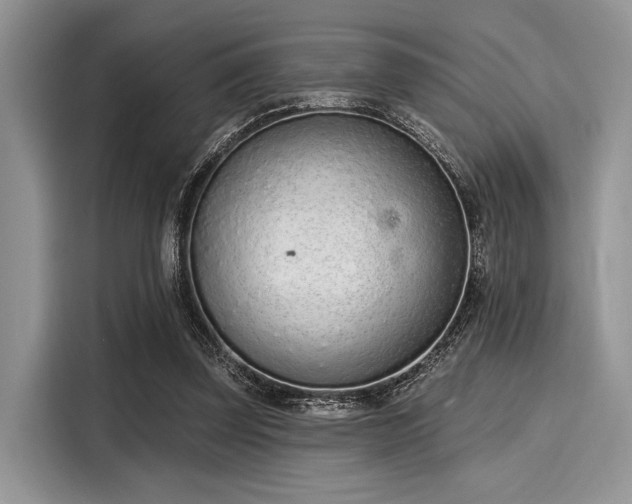 X0000116110347200911301127