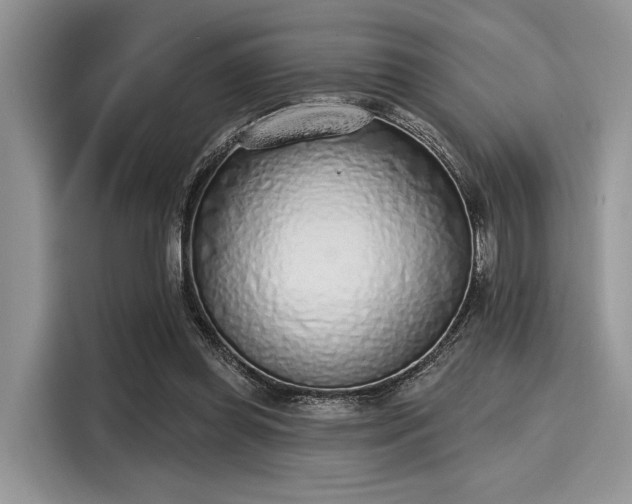 X0000116110349200911301127