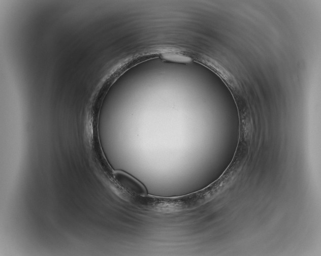 X0000116110350200911301127