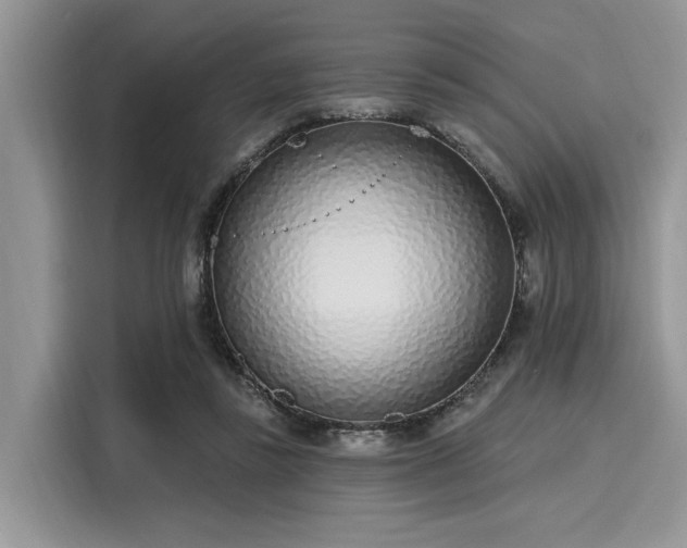 X0000116110355200911301127