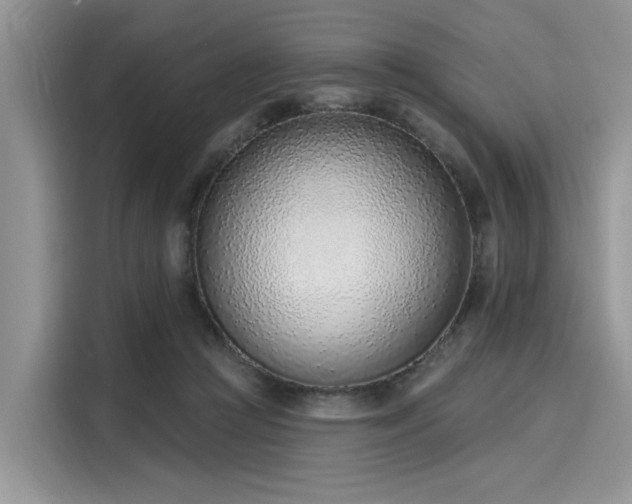 X0000116110361200911301127