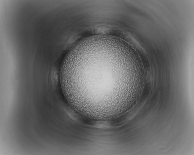 X0000116110363200911301127