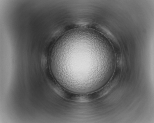 X0000116110365200911301127