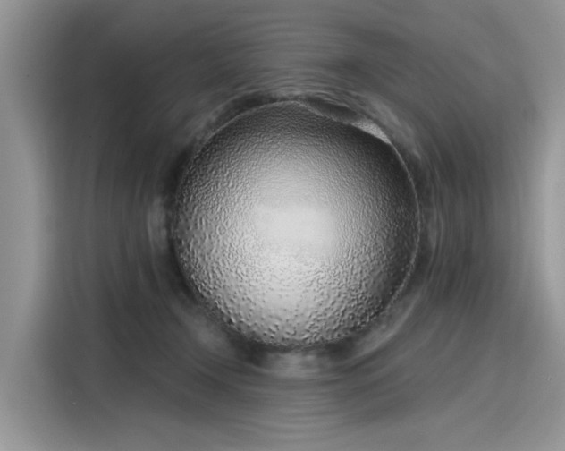 X0000116110366200911301127